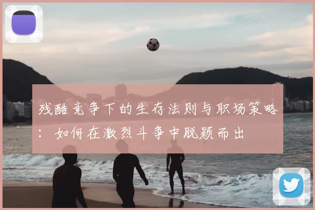 残酷竞争下的生存法则与职场策略：如何在激烈斗争中脱颖而出