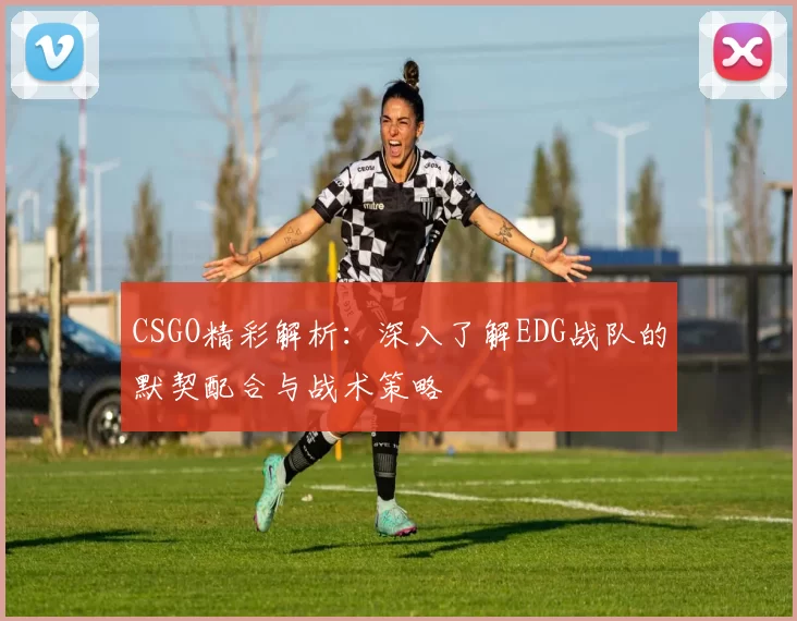 CSGO精彩解析：深入了解EDG战队的默契配合与战术策略