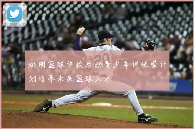 姚明篮球学校启动青少年训练营计划培养未来篮球人才