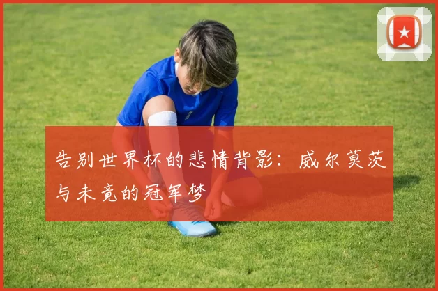 告别世界杯的悲情背影:威尔莫茨与未竟的冠军梦