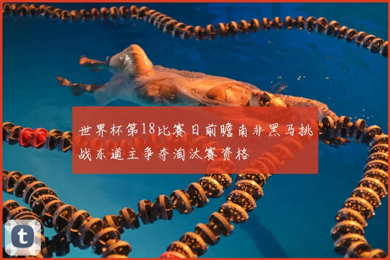 世界杯第18比赛日前瞻南非黑马挑战东道主争夺淘汰赛资格