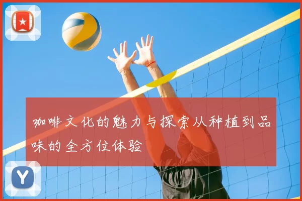 咖啡文化的魅力与探索从种植到品味的全方位体验
