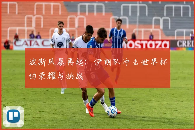 波斯风暴再起:伊朗队冲击世界杯的荣耀与挑战