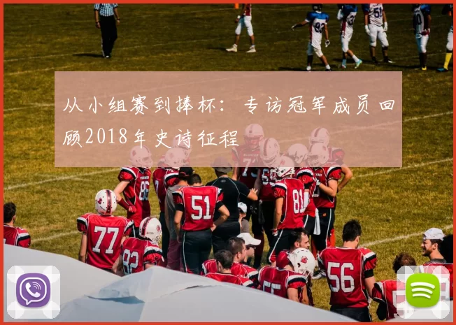 从小组赛到捧杯:专访冠军成员回顾2018年史诗征程