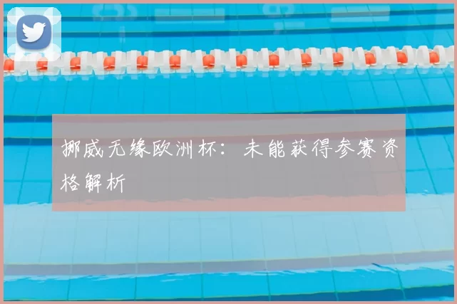 挪威无缘欧洲杯：未能获得参赛资格解析