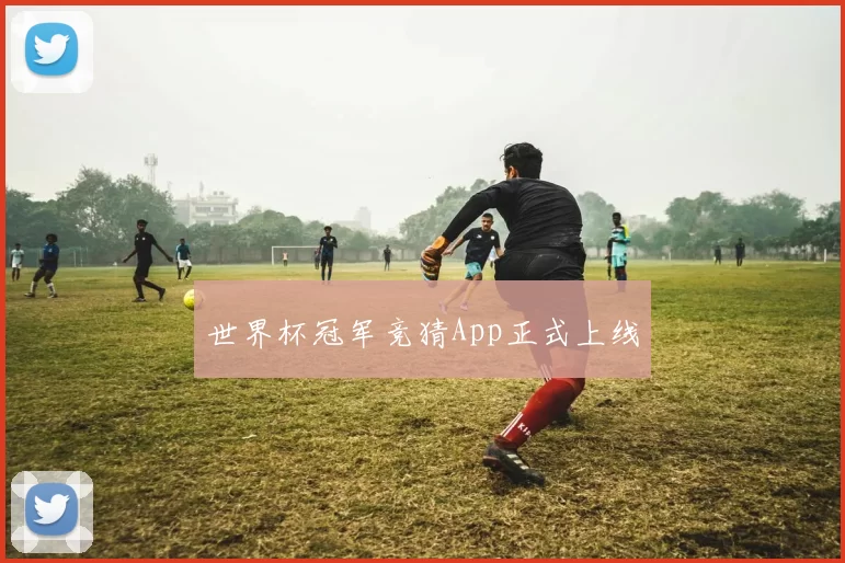 世界杯冠军竞猜App正式上线